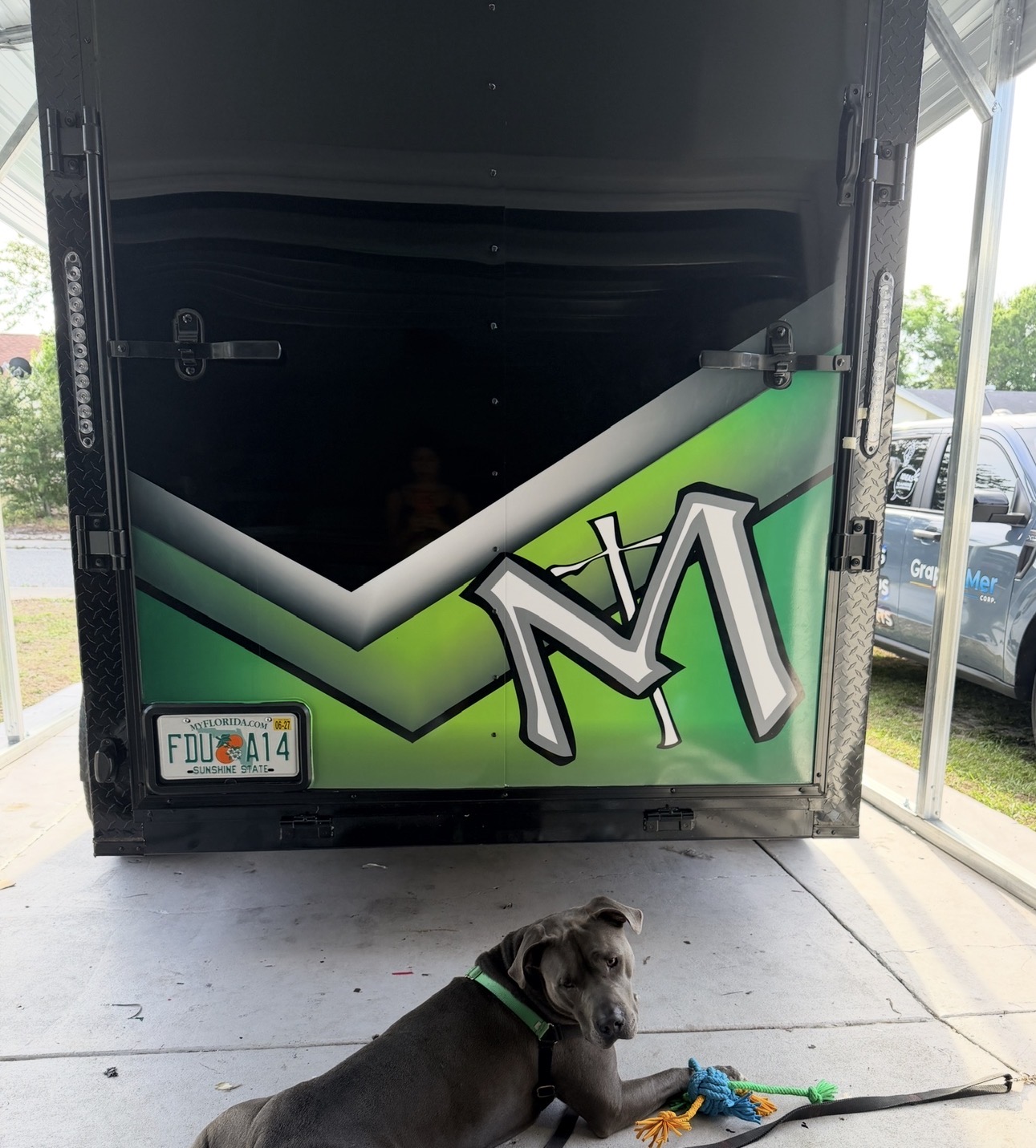 GraphicMer real project